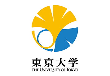 Bachelor in Systems Innovation, faculty of Engineering